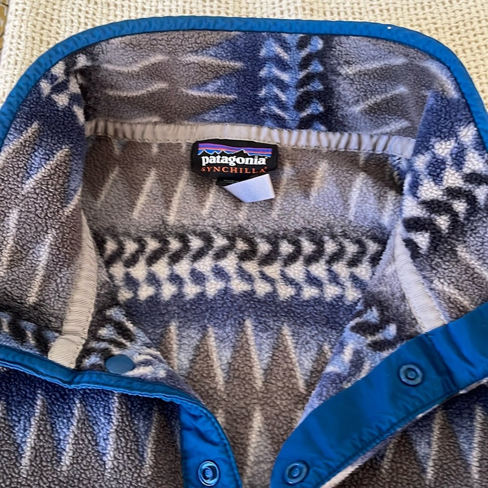 Patagonia Synchilla Fleece Large